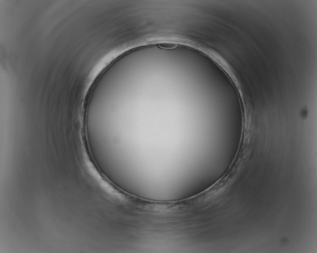 X0000116671005200912291654