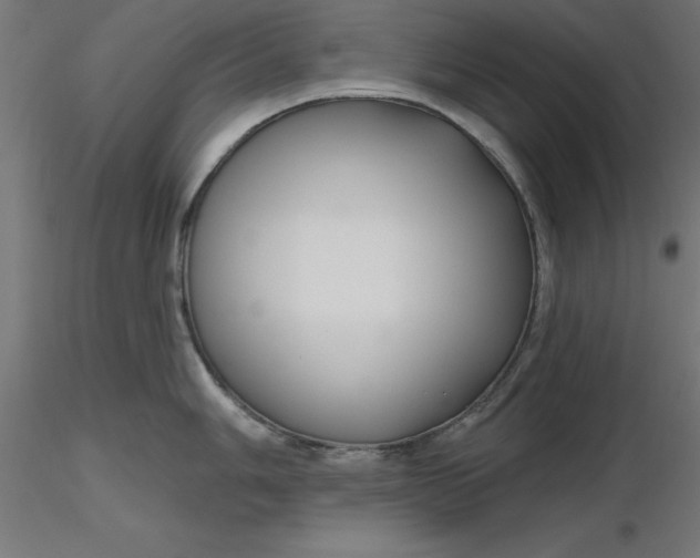 X0000116671006200912291654