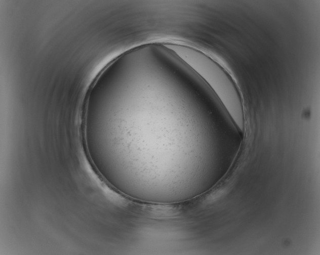 X0000116671007200912291654