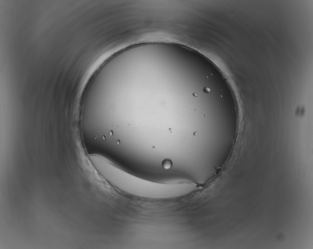 X0000116671008200912291654