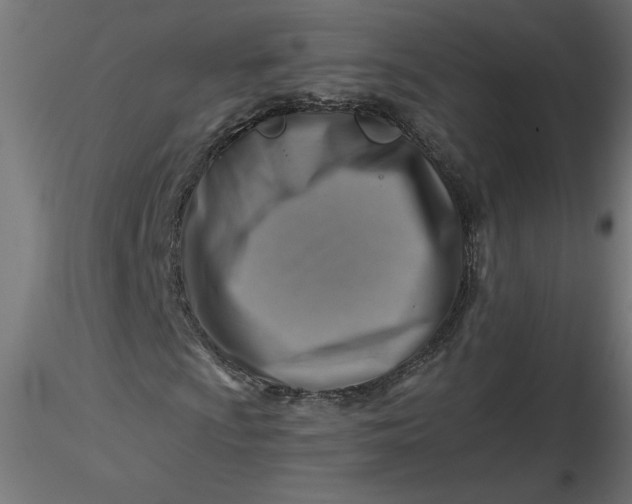 X0000116671009200912291654