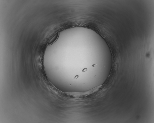 X0000116671010200912291654