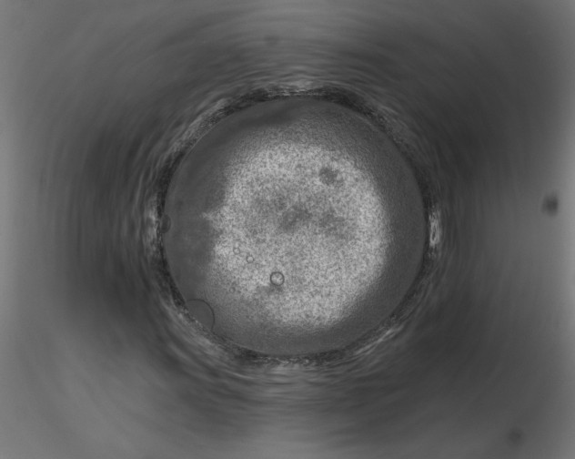 X0000116671011200912291654