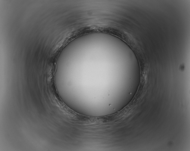 X0000116671012200912291654