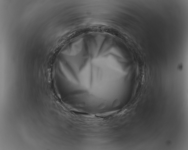 X0000116671013200912291654