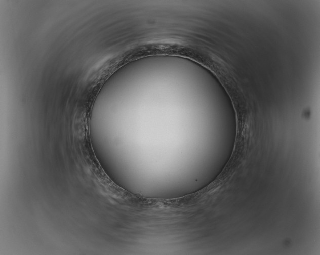 X0000116671014200912291654