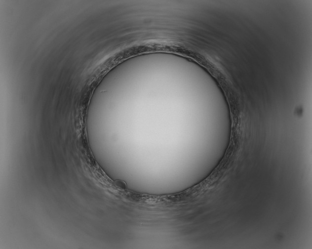 X0000116671015200912291654