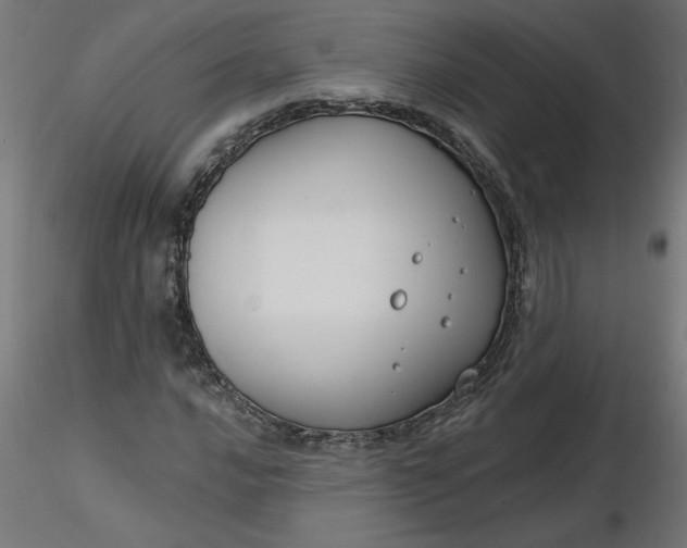 X0000116671016200912291654