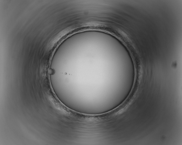 X0000116671017200912291654