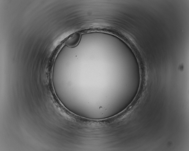 X0000116671018200912291654