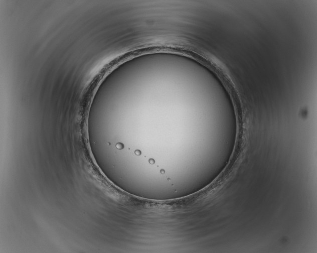 X0000116671019200912291654