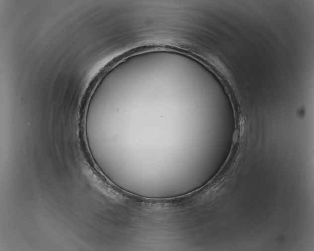 X0000116671020200912291654