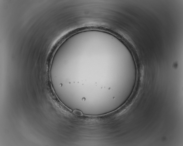 X0000116671021200912291654