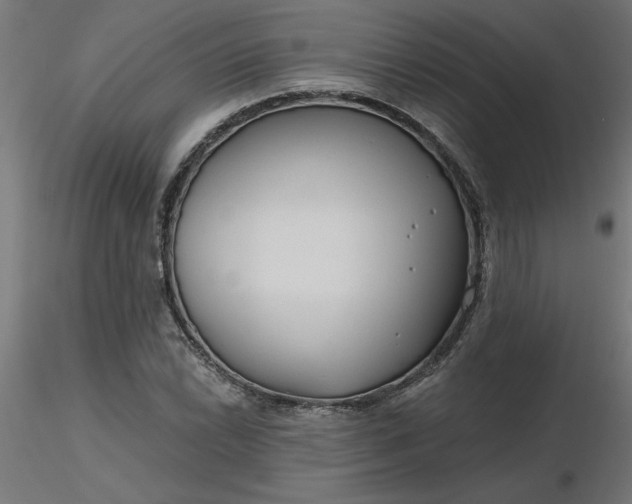 X0000116671022200912291654