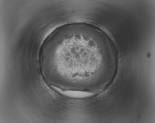 X0000116671023200912291654