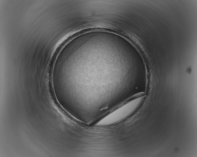 X0000116671024200912291654