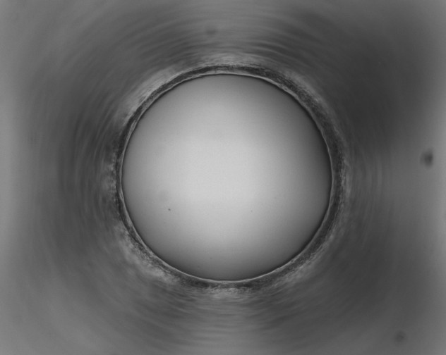 X0000116671025200912291654