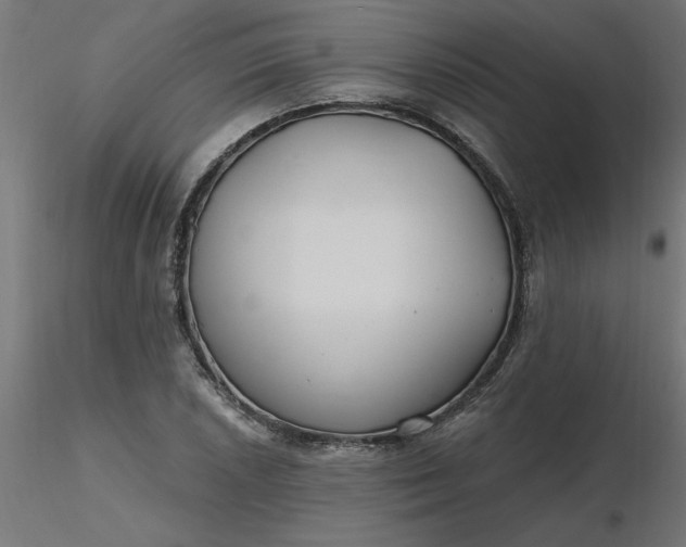 X0000116671026200912291654