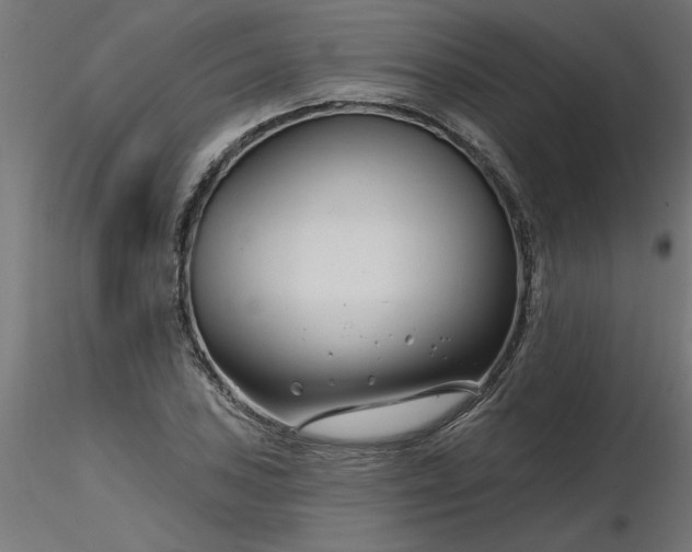 X0000116671027200912291654