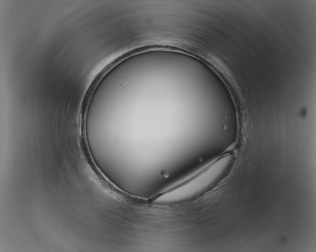 X0000116671028200912291654