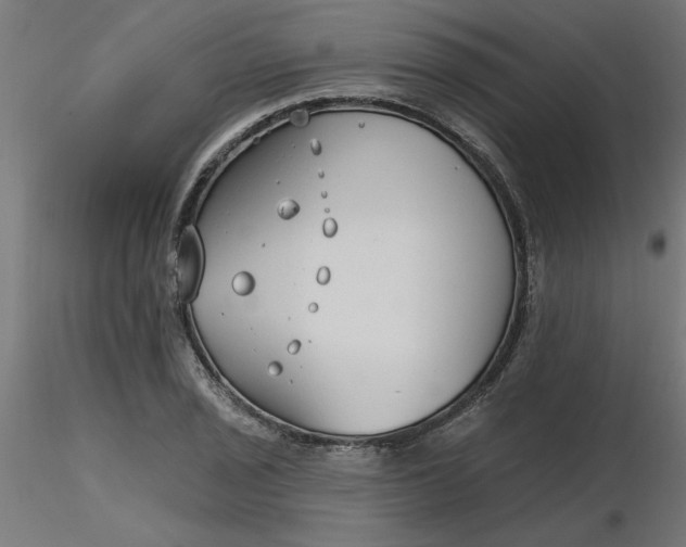 X0000116671029200912291654