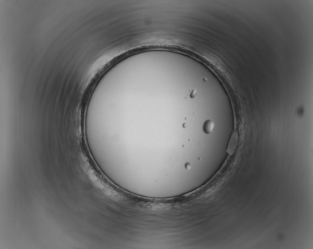 X0000116671030200912291654