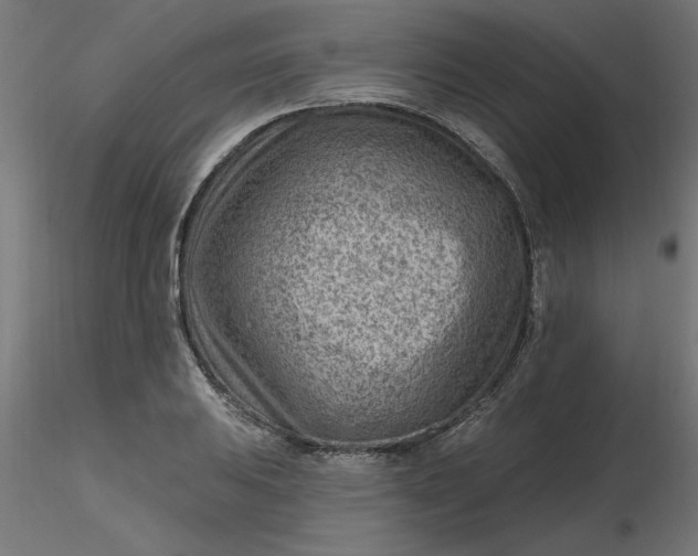 X0000116671031200912291654