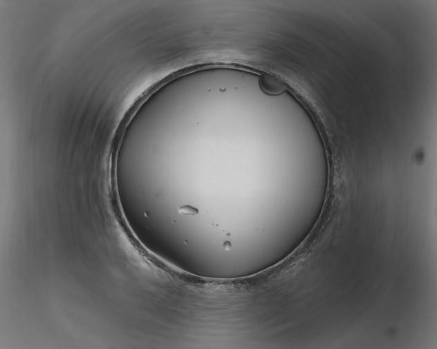 X0000116671032200912291654