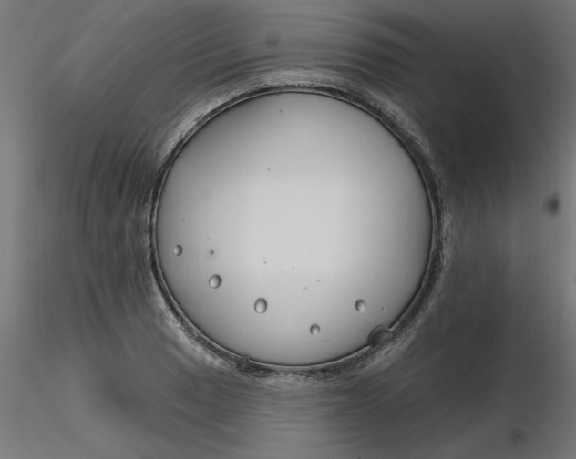 X0000116671033200912291654