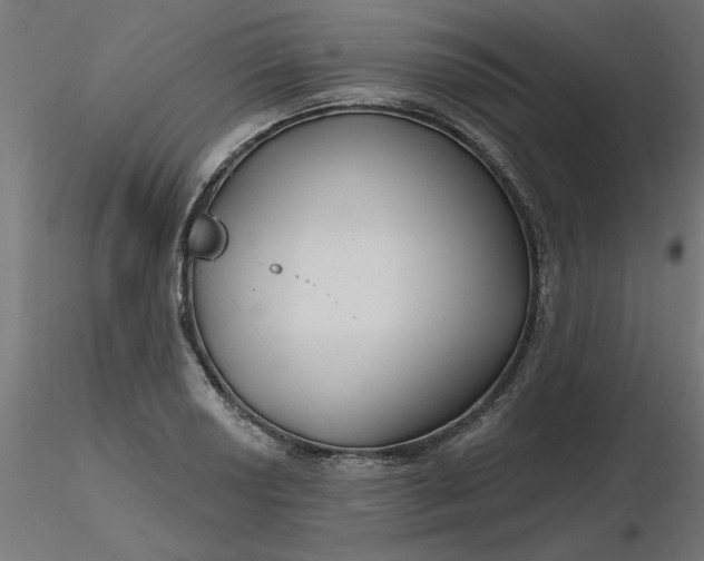 X0000116671034200912291654