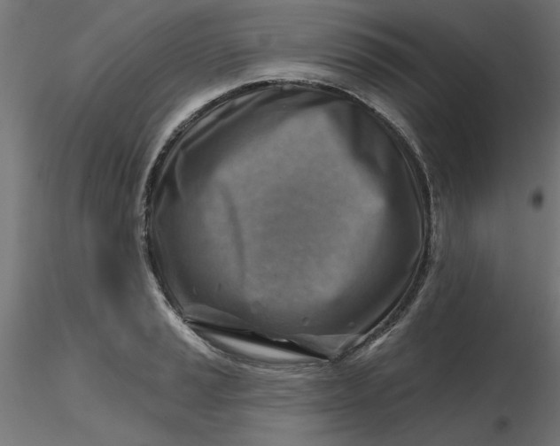 X0000116671037200912291654