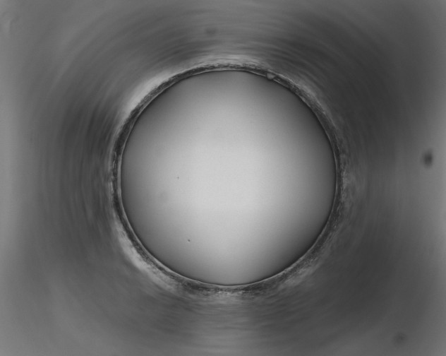 X0000116671038200912291654