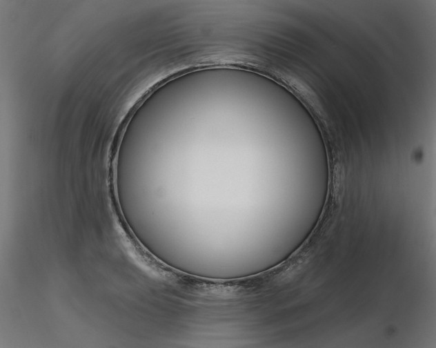 X0000116671039200912291654