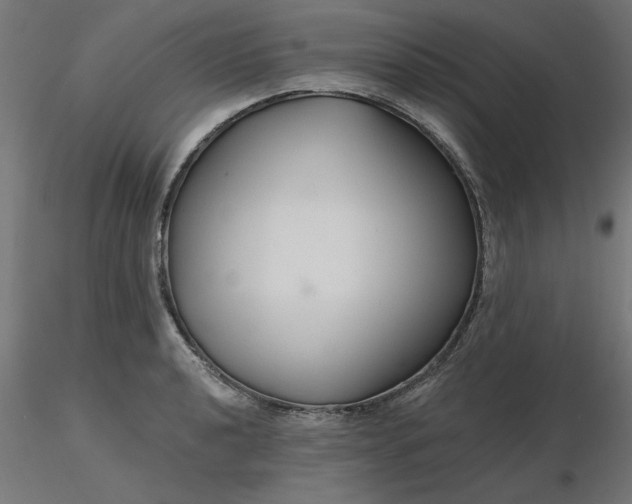 X0000116671040200912291654