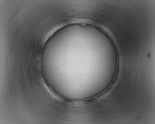 X0000116671041200912291654