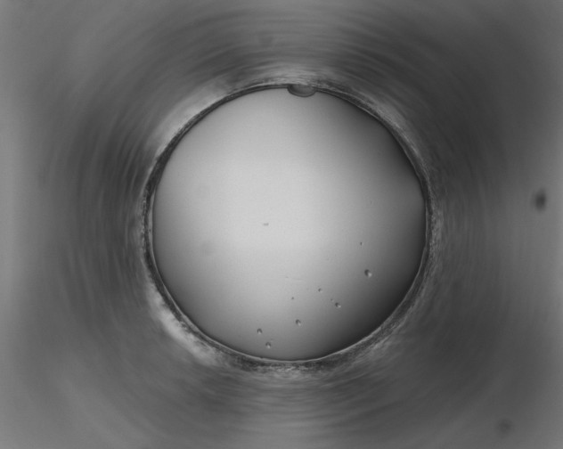 X0000116671042200912291654