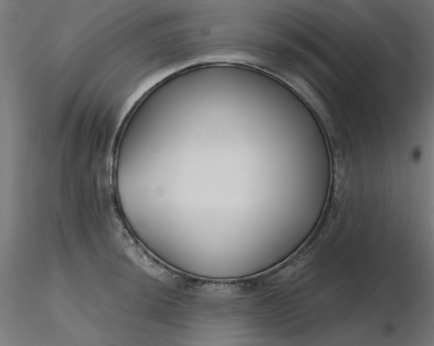 X0000116671044200912291654