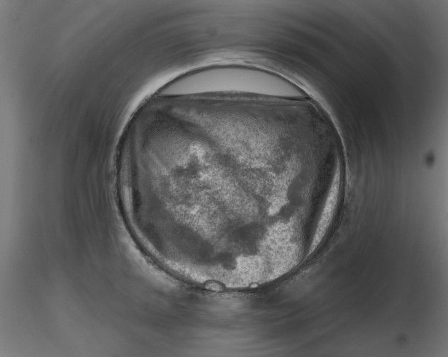 X0000116671045200912291654