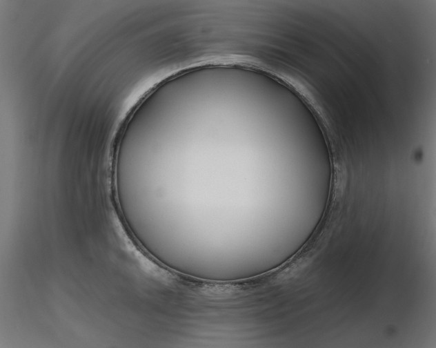 X0000116671046200912291654