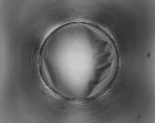 X0000116671048200912291654