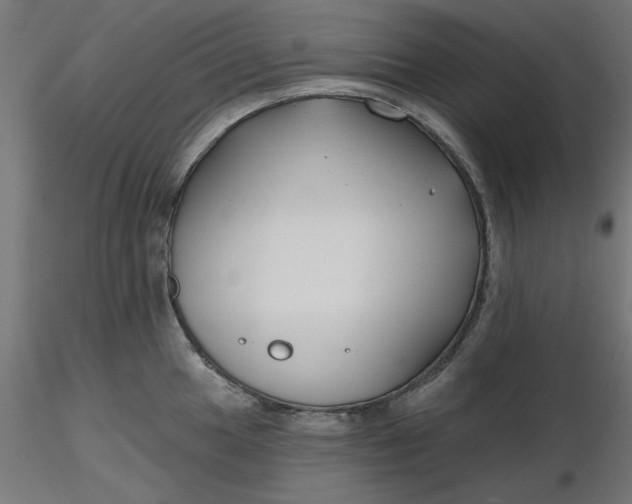 X0000116671049200912291654