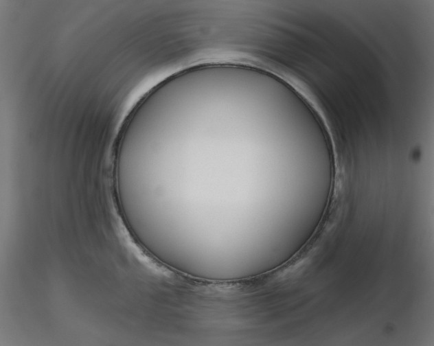 X0000116671053200912291654