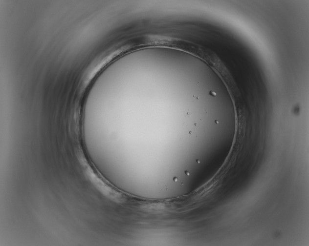 X0000116671054200912291654