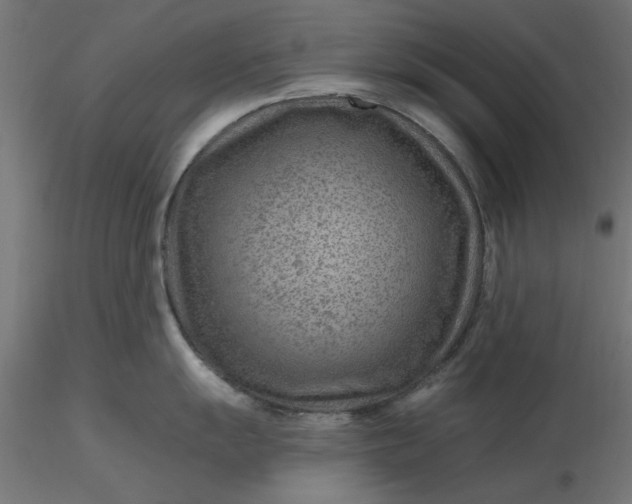 X0000116671055200912291654