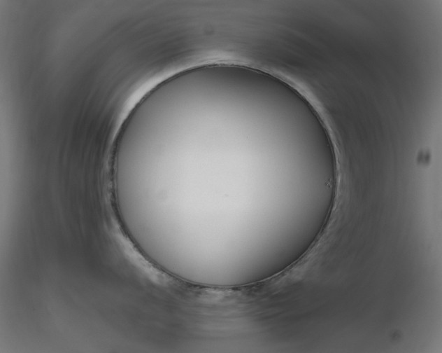 X0000116671056200912291654