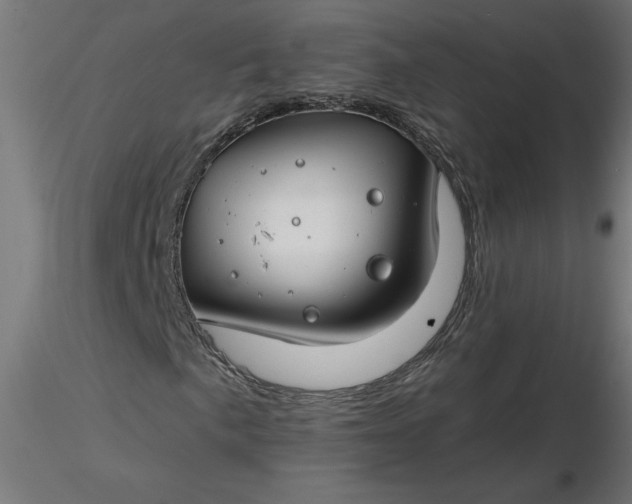 X0000116671057200912291654