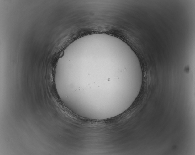 X0000116671058200912291654