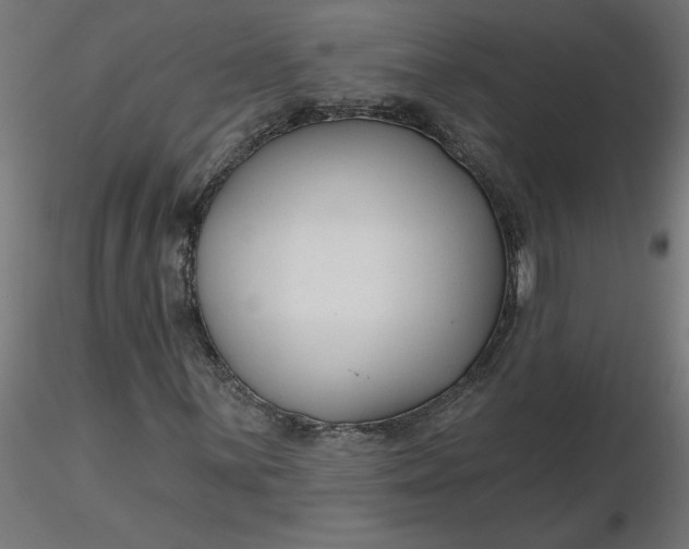 X0000116671059200912291653