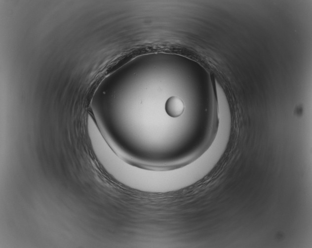 X0000116671060200912291653