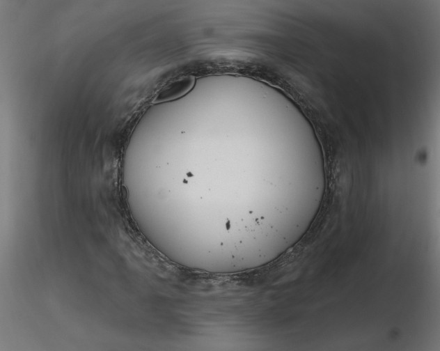 X0000116671061200912291653